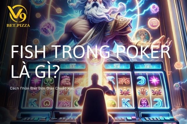 Fish Trong Poker là gì? Cách Nhận Biết Đơn Giản Chuẩn Xác