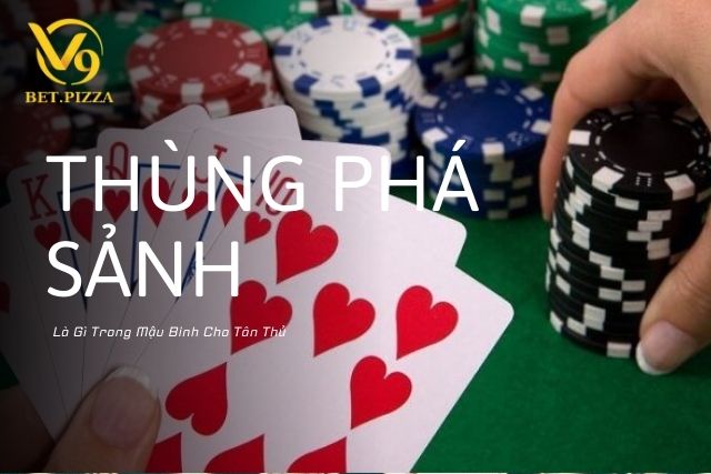 Bật Mí Thùng Phá Sảnh Là Gì Trong Mậu Binh Cho Tân Thủ