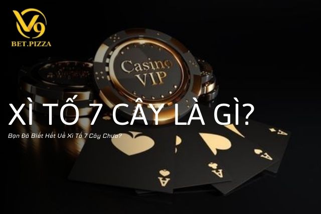 Xì Tố 7 Cây Là Gì? Bạn Đã Biết Hết Về Xì Tố 7 Cây Chưa?